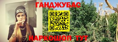 гидропоника Пугачёв