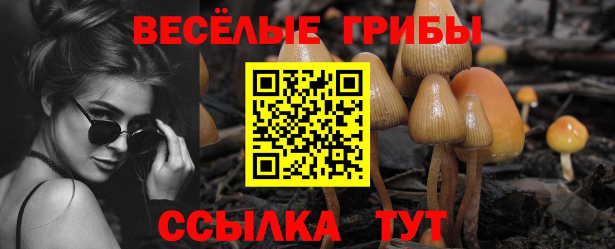 Псилоцибиновые грибы Psilocybe  Вход с VPN  Строитель 